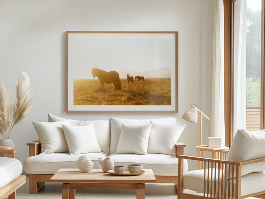 Isländische Pferde im Abendlicht